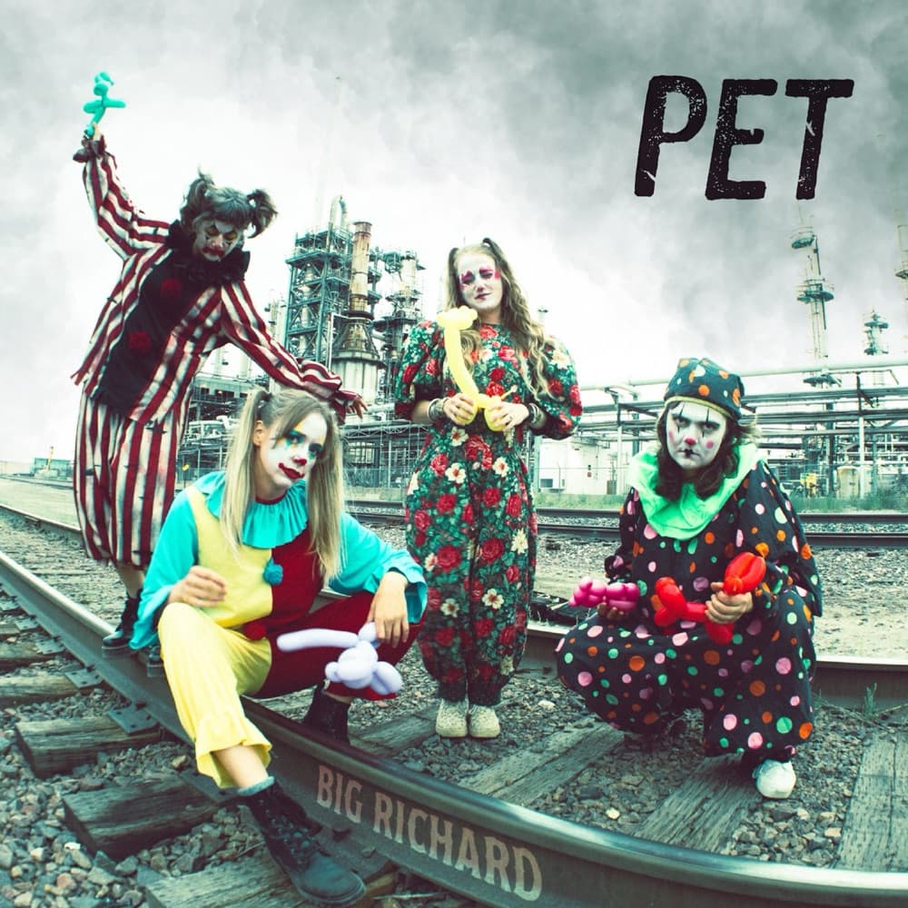 Pet album cover